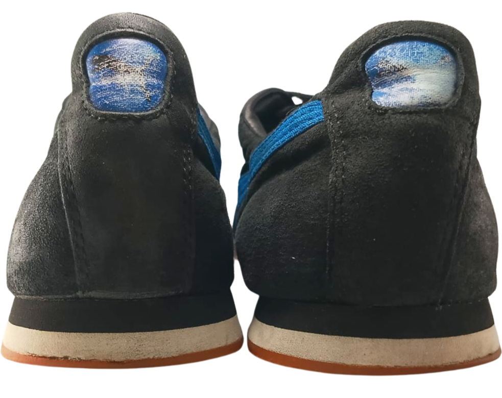 Puma Roma (Video attached)