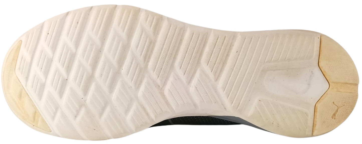Puma Vigor (Video attached)