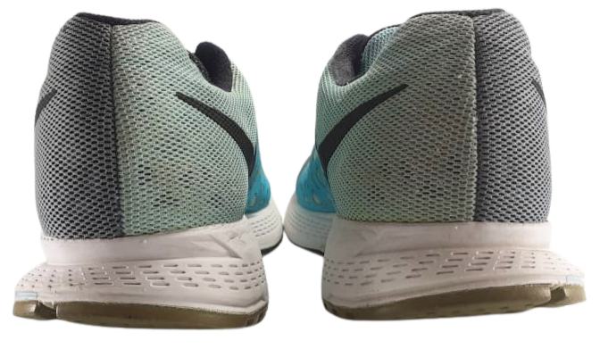 Nike Air Zoom Pegasus 31
