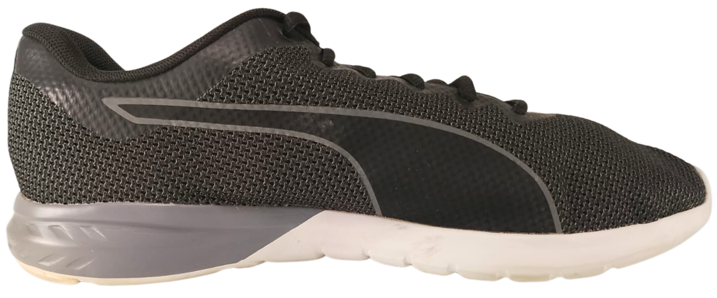Puma Vigor (Video attached)