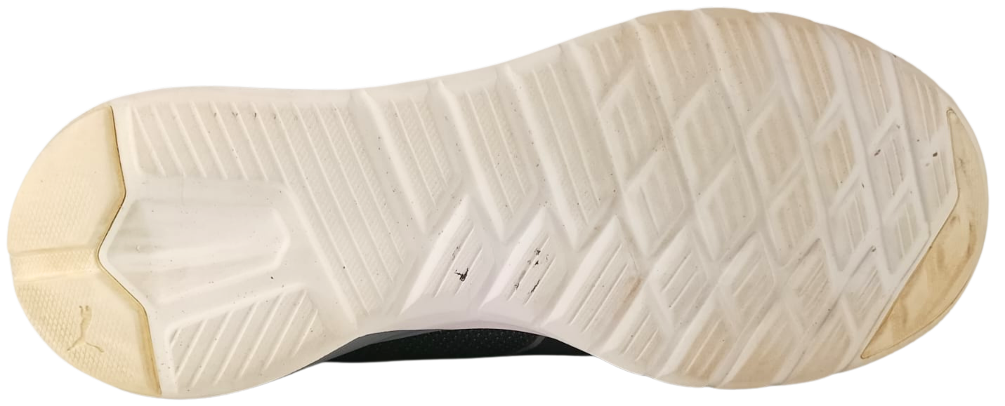 Puma Vigor (Video attached)