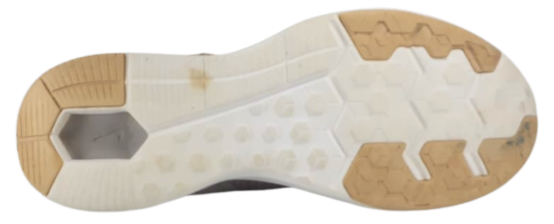 Nike In session TR 8