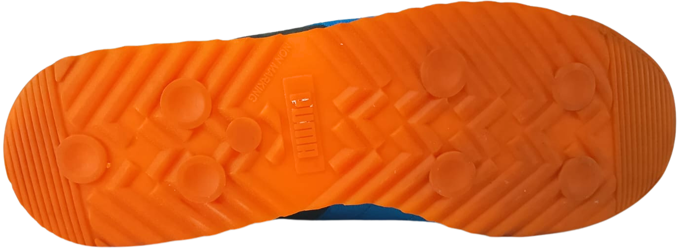 Puma Roma (Video attached)