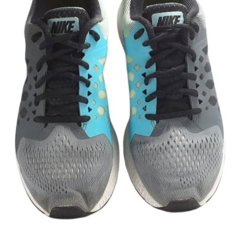 Nike Air Zoom Pegasus 31