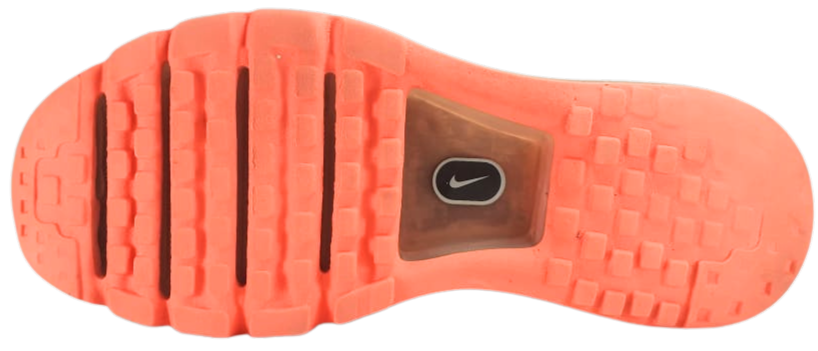 Nike Air Max 2017 Running Shoe