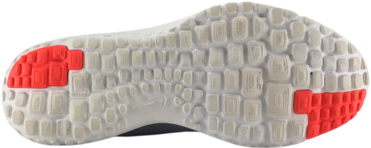 Nike FS Lite Run 2 Low Sneaker