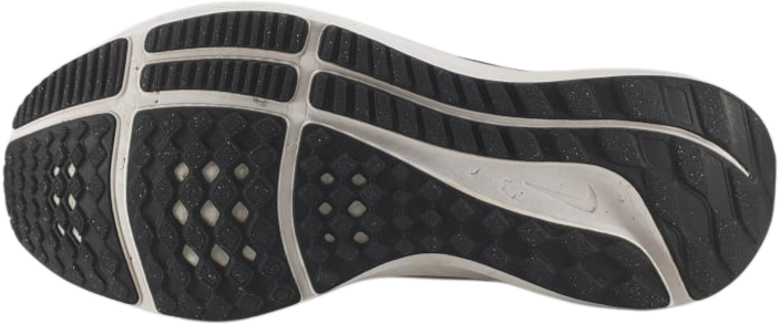 Nike Zoom Air Pegasus 39 Running Shoes