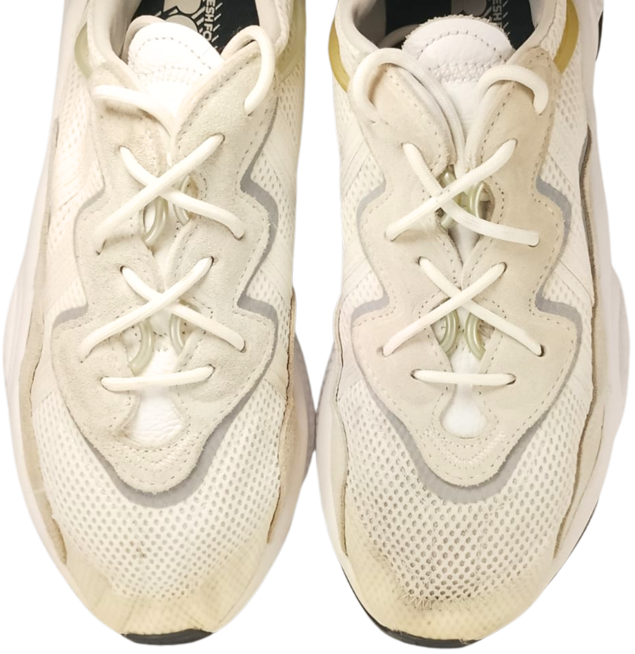 Adidas Falcon (video attached)