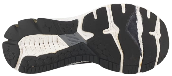 Asics GT 1000 10