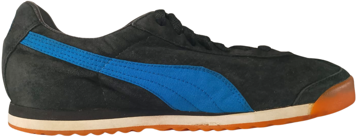 Puma Roma (Video attached)