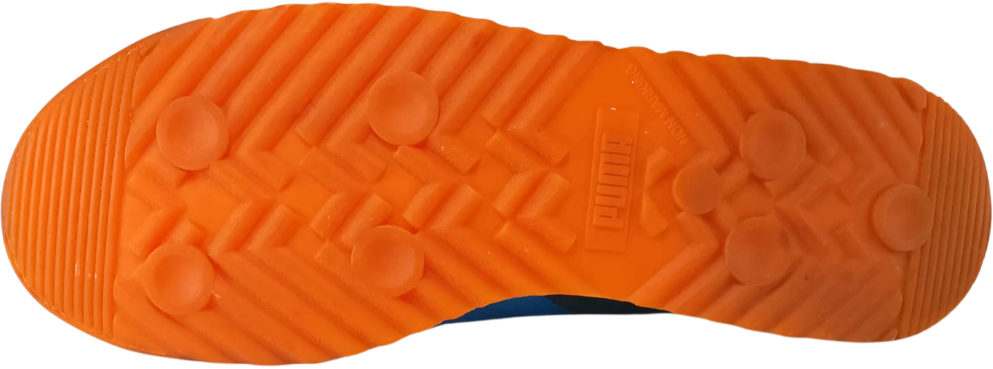 Puma Roma (Video attached)