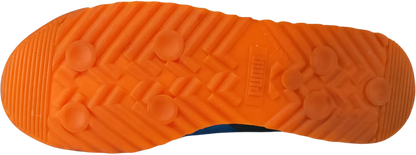 Puma Roma (Video attached)