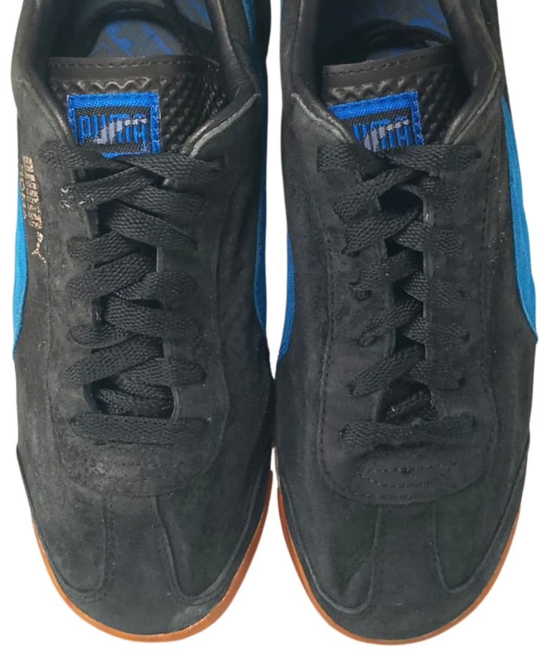Puma Roma (Video attached)