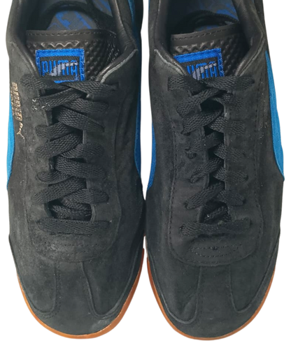 Puma Roma (Video attached)