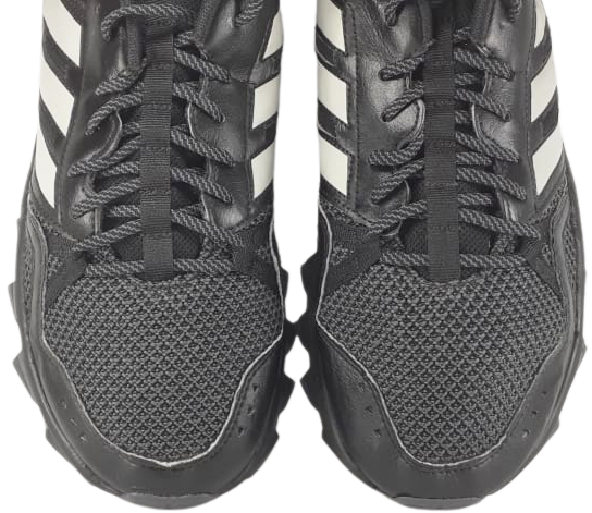 Adidas Rockadia Trail 3.0 (video attached)