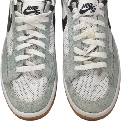 Nike Adversary SB light Dew (video attached)