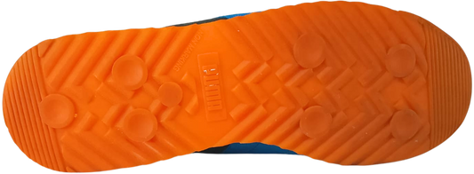 Puma Roma (Video attached)