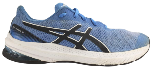 Asics GT 1000 12