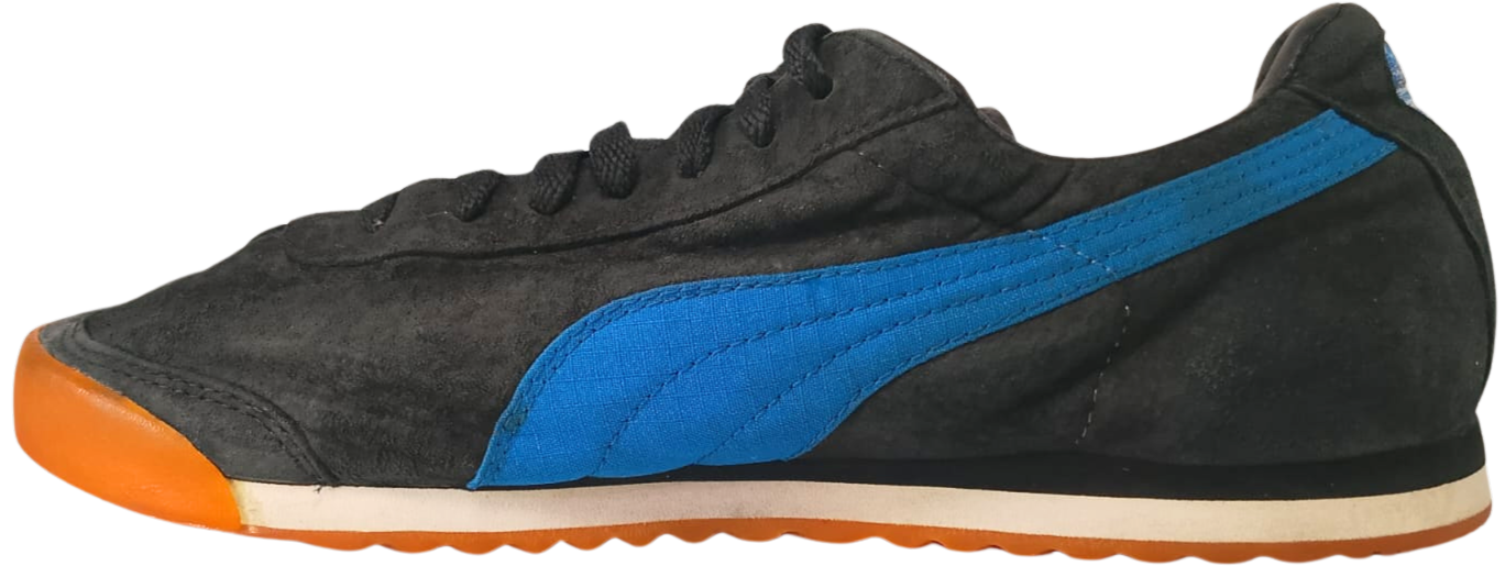 Puma Roma (Video attached)