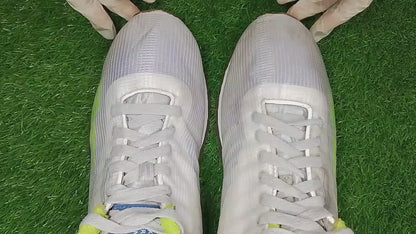 Reebok Classic ATI Lime (video attached)