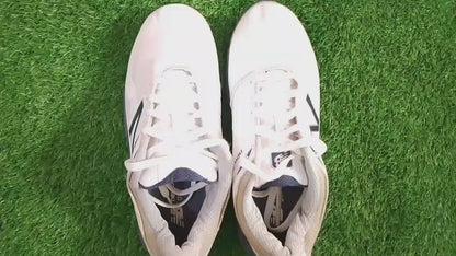 New Balance Minimus Waterproof (video attached)