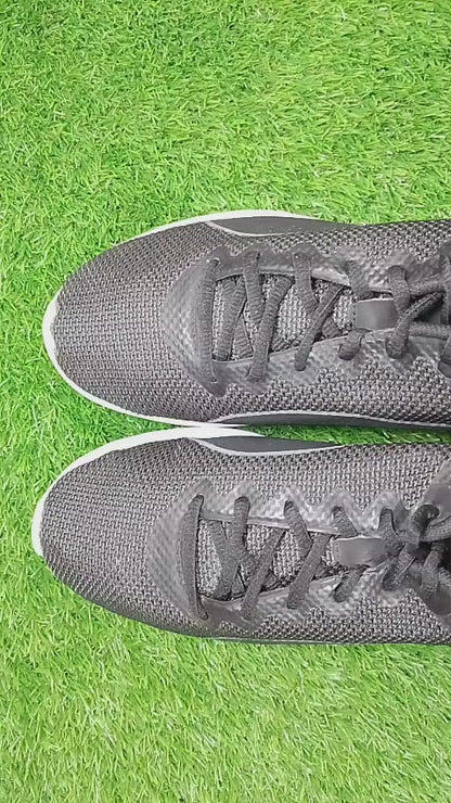 Puma Vigor (Video attached)