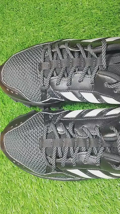 Adidas Rockadia Trail 3.0 (video attached)