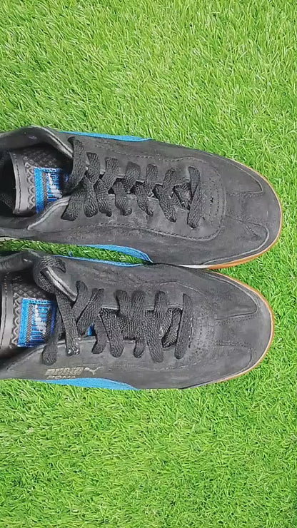 Puma Roma (Video attached)