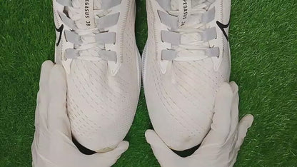 Nike Air Zoom Pegasus 38 (vide attached)
