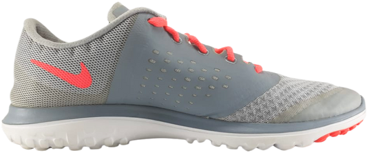 Nike FS Lite Run 2 Low Sneaker