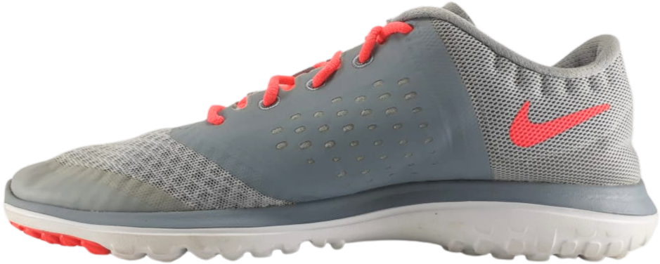Nike FS Lite Run 2 Low Sneaker
